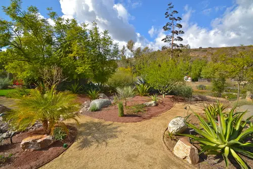 Low-maintenance Poway yard of agave, cycads and boulders in mulch and decomposed granite